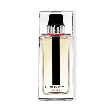 dior homme sport king power